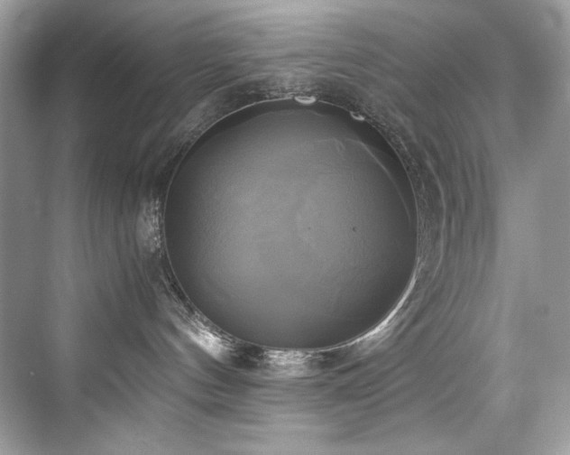 X0000076330144200609291130