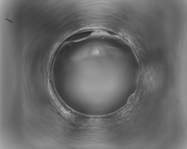 X0000076330145200609291129