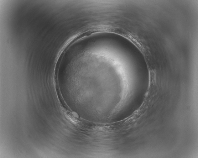 X0000076330147200609291129