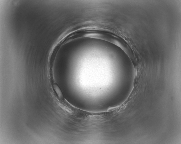X0000076330150200609291129