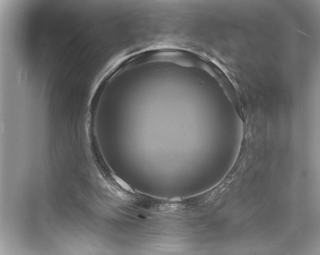 X0000076330152200609291129