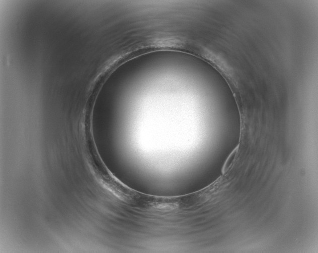 X0000076330155200609291129