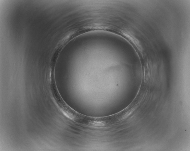 X0000076330157200609291129