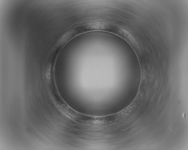X0000076330163200609291129