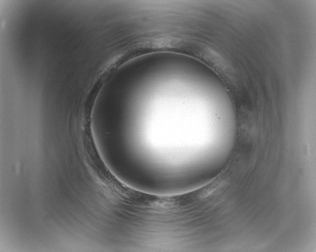 X0000076330164200609291129