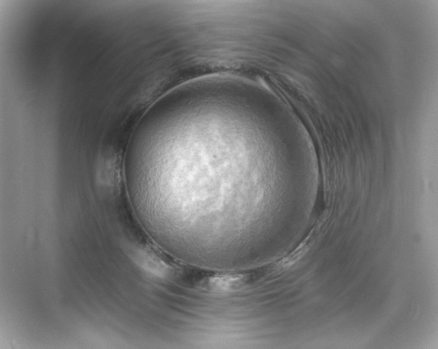 X0000076330172200609291129
