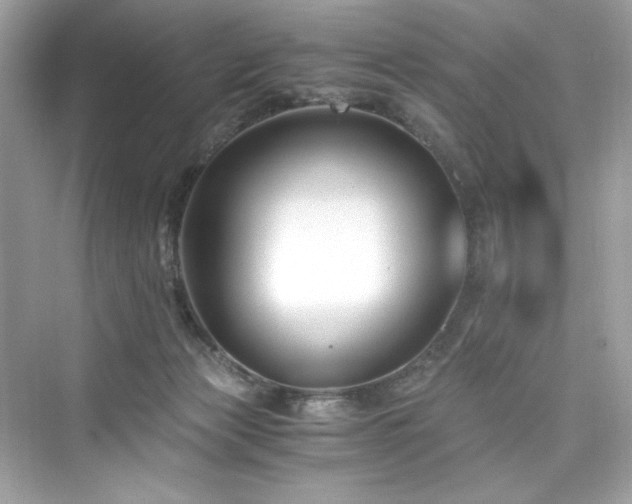 X0000076330173200609291129