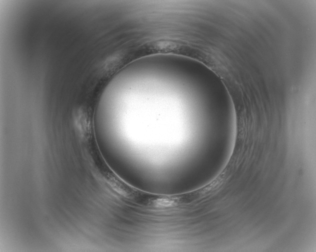 X0000076330176200609291129