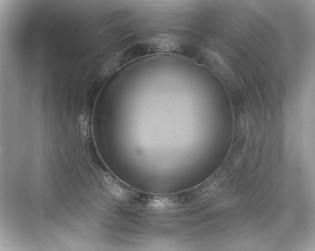 X0000076330177200609291129