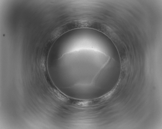 X0000076330178200609291129