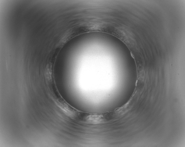 X0000076330179200609291129