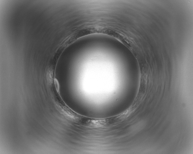 X0000076330188200609291130