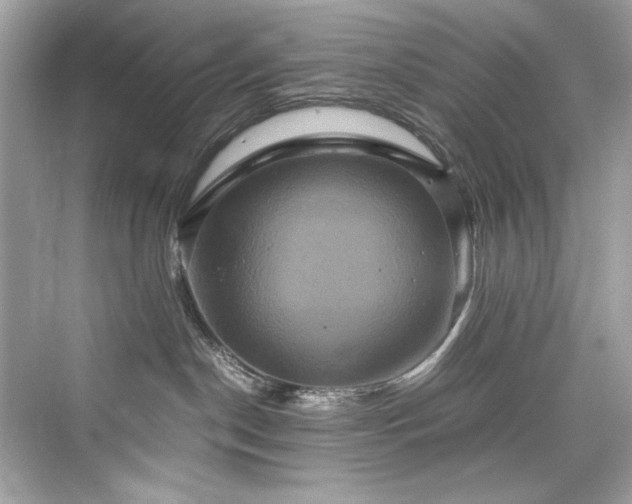 X0000076330190200609291130