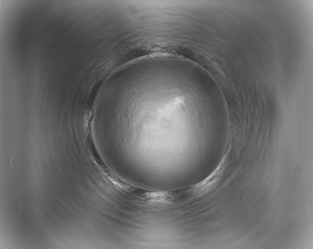 X0000076330192200609291130