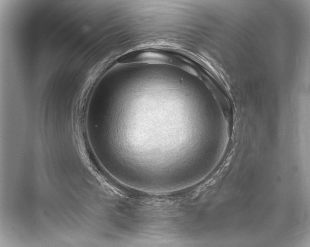 X0000076330193200609291129