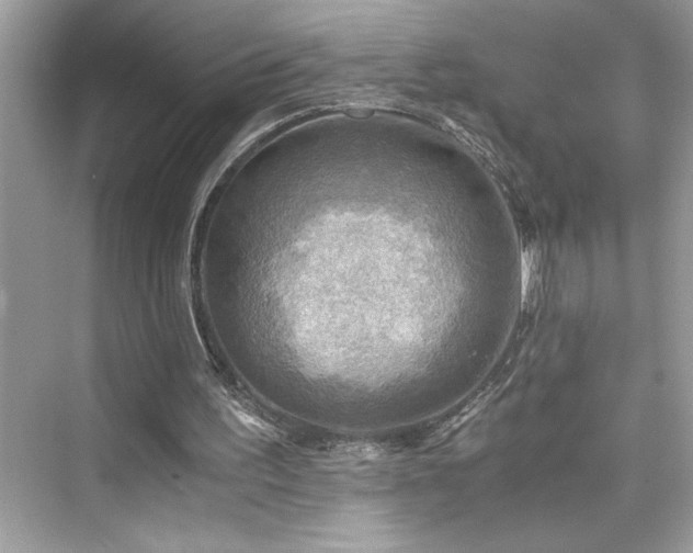 X0000076330195200609291129