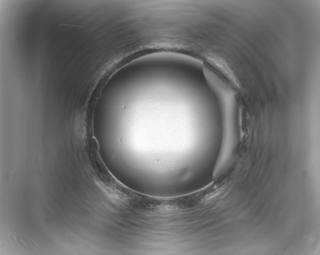 X0000076330204200609291129
