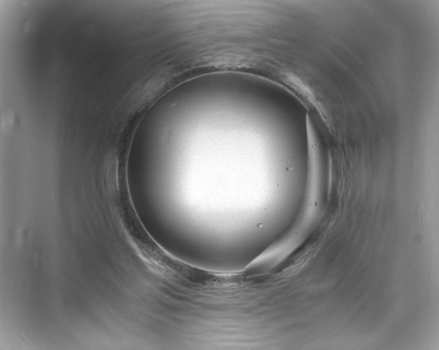 X0000076330205200609291129