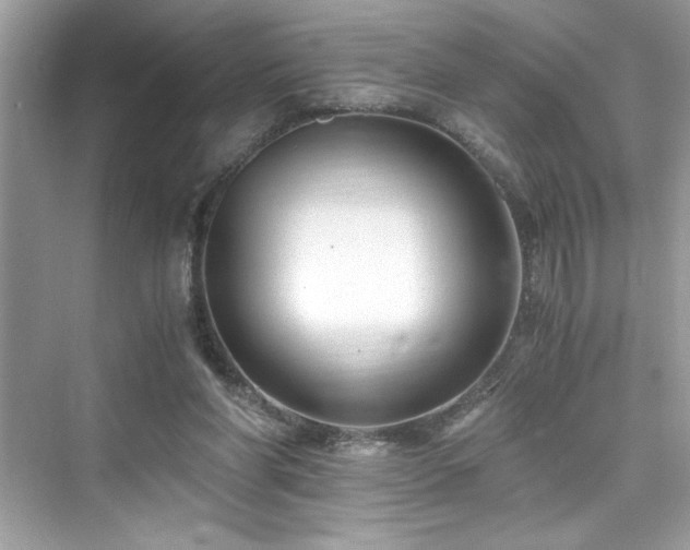 X0000076330206200609291129