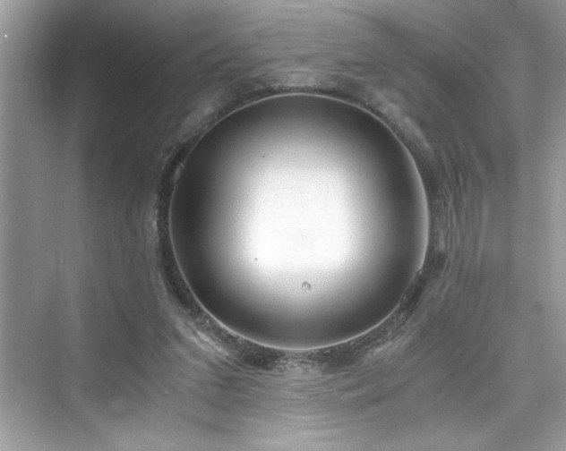 X0000076330207200609291129