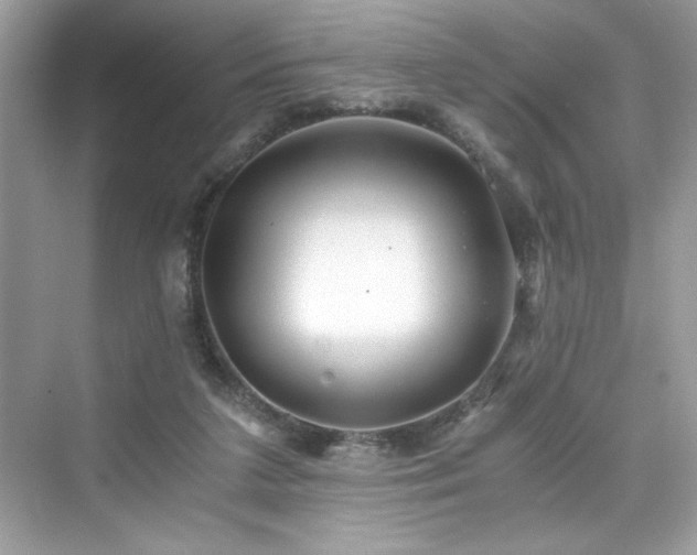 X0000076330211200609291129