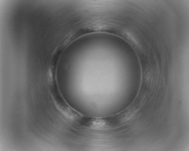 X0000076330214200609291129