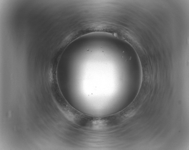 X0000076330216200609291128