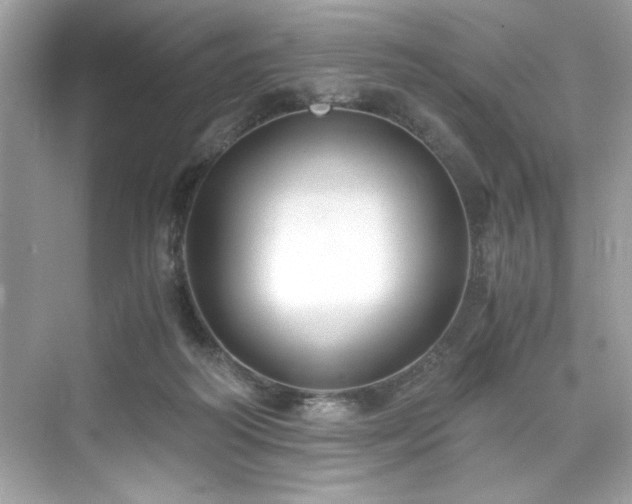X0000076330218200609291128