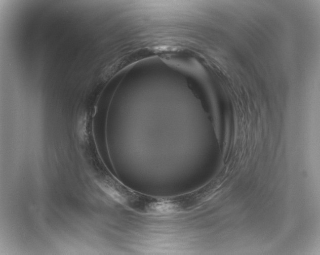 X0000076330219200609291128