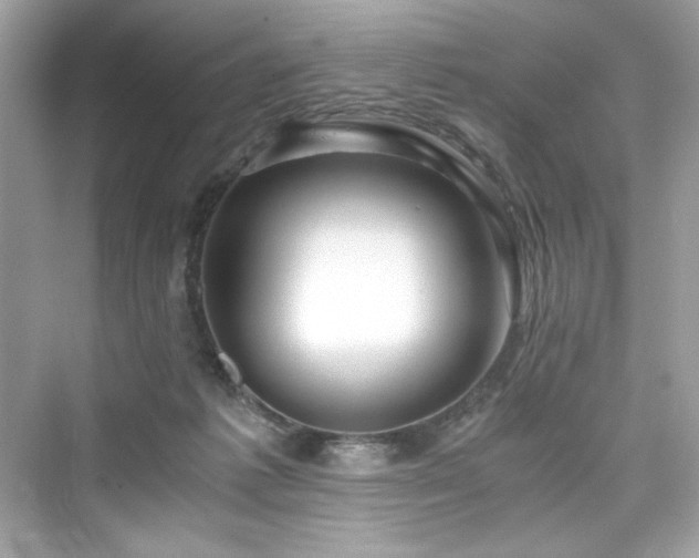 X0000076330221200609291128