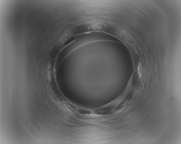X0000076330223200609291128