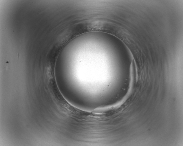 X0000076330224200609291128