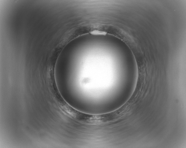 X0000076330225200609291128