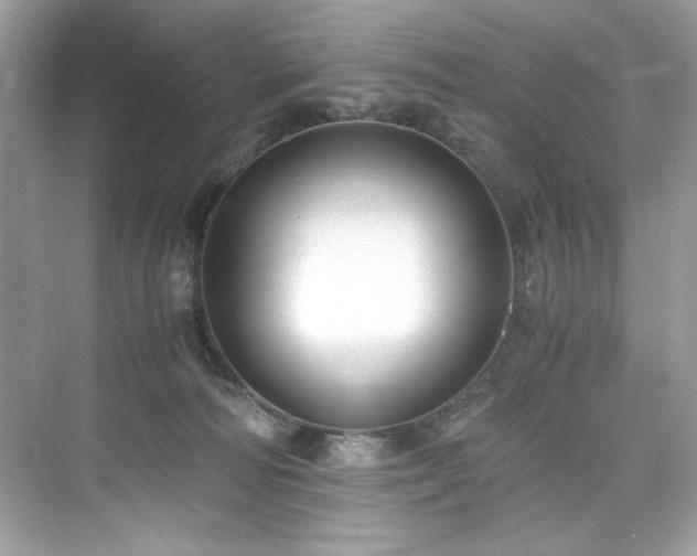 X0000076330226200609291128