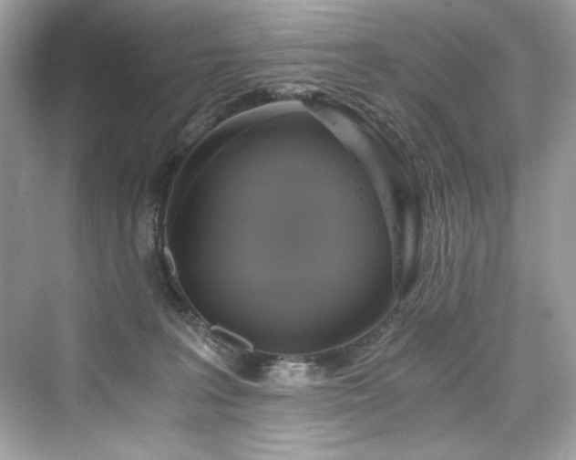 X0000076330227200609291128