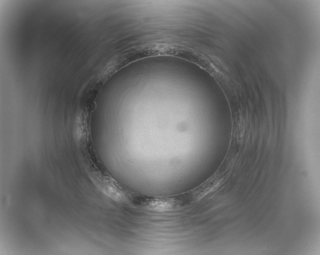 X0000076330236200609291128