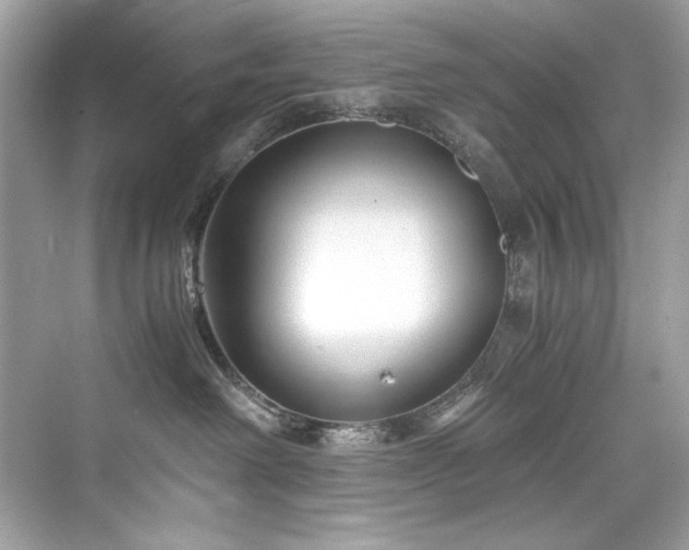 X0000076330238200609291128