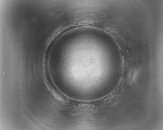 X0000076330242200609291127