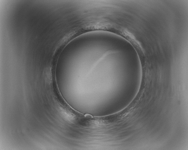 X0000076330250200609291127