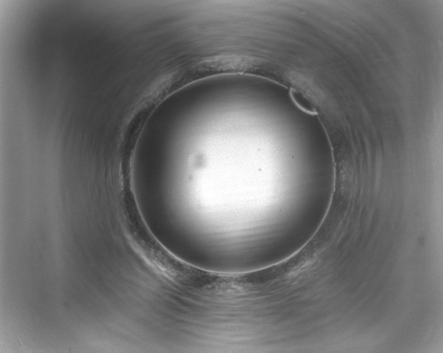 X0000076330254200609291128