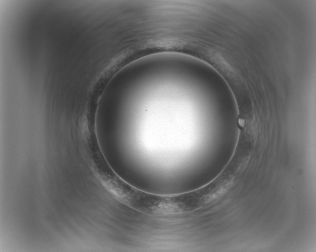 X0000076330256200609291128