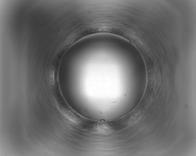 X0000076330262200609291128
