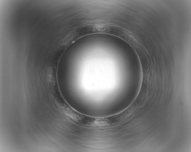 X0000076330270200609291128