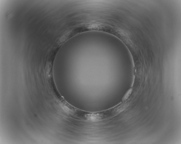 X0000076330273200609291128