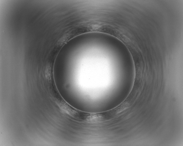X0000076330274200609291128
