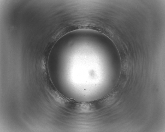 X0000076330282200609291128