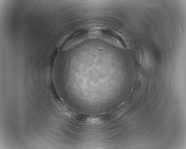 X0000076330283200609291128