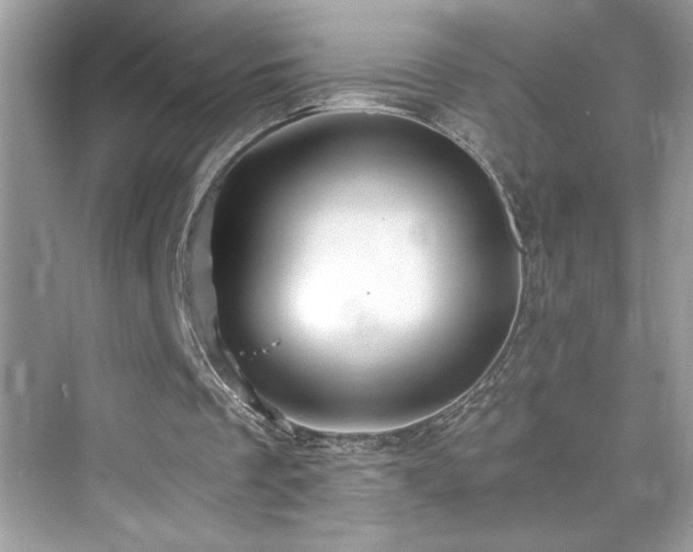 X0000076330289200609291127