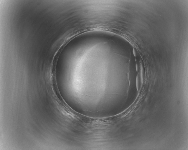 X0000076330290200609291127
