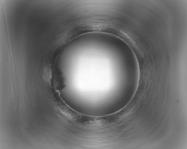 X0000076330307200609291127